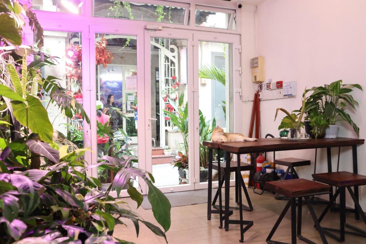 Amango Dorm Pansiyon Ho Şi Min Dış mekan fotoğraf